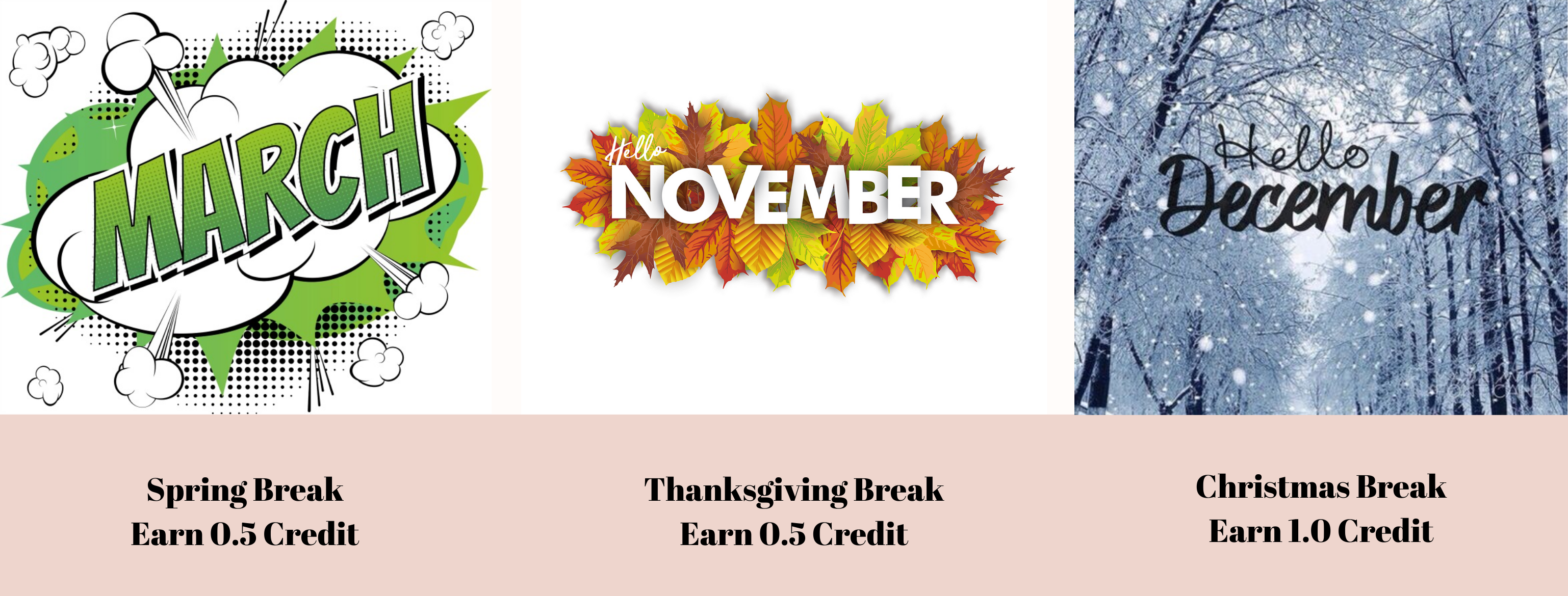 Minimester holiday break credits Minimest photo to earn credits during the holiday break